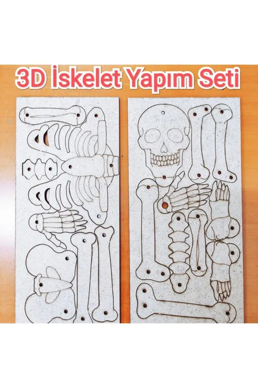İSKELET SETİ MONTAJLI