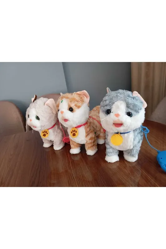 KEDİ PELÜS PİLLİ