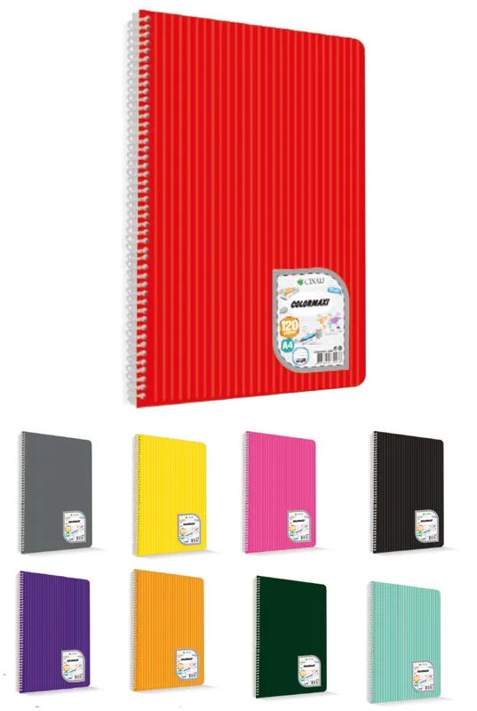 MY NOTE TEXT PP KPK SPR A4 120/4 DEFTER KARELİ
