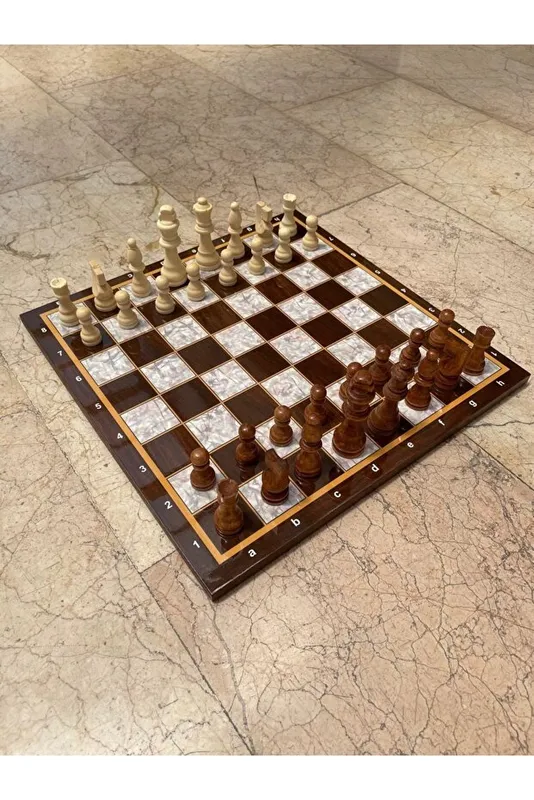 SATRANÇ TAKIMI